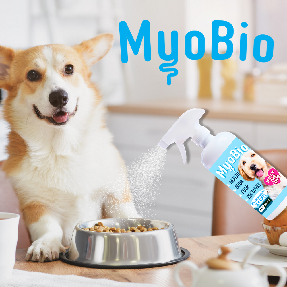 MyoBio PreBiotic for Dogs